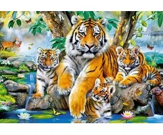 Castorland Dėlionė 1000 vnt. - Tigrai
