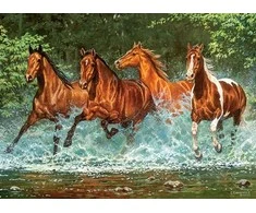 Castorland dėlionė Cascade Run 300 det.