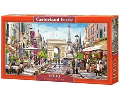Castorland Dėlionė 4000 vnt. - Paryžiaus esencija
