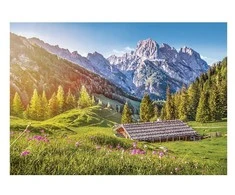Castorland dėlionė Summer in the Alps 500 det.