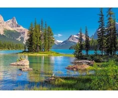 Castorland dėlionė Maligne Lake, Canada 500 det