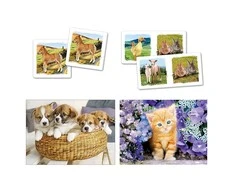 Dėlionė Clementoni Superkit Puzzle rinki