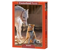 Castorland dėlionė Unique Friendship 1000 det