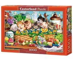 Castorland Dėlionė 1000 vnt. - Miegantys kačiukai