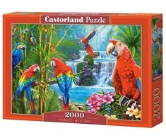 Castorland Dėlionė 2000 vnt. - Papūgų susirinkimas