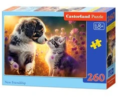 Castorland dėlionė New Friedship 260 det.