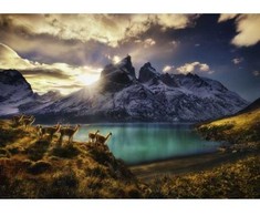 Dėlionė Heye Puzzle, 1000 dalys. Chile, lamy Guanaki (GXP-636856)