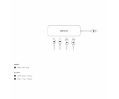 USB Adapteris - DICOTA D32061 4-in-1 10 Gbps Sidabrinis