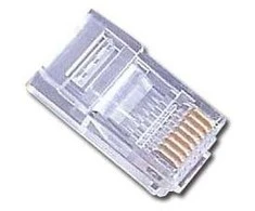 GEMBIRD PLUG3UP6/50 Gembird modulinis LAN kištukas 6u auksiniu dengtas - rinkinyje 50 vnt., kietieji laidai