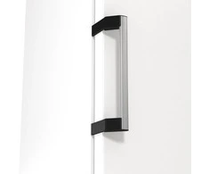 Šaldytuvas GORENJE R619EAW6