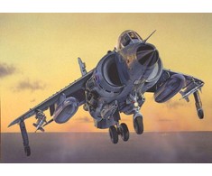 Italeri Sea Harrier FRS.1 Folklando 40-metis plastikinis modelis 1/72