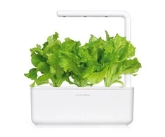 Click And Grow Click &amp; Grow Click &amp; Grow Smart Garden pildomas salotos 3vnt