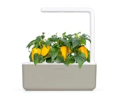 Click and Grow SMART HOME 3 vnt. papildymas - paprikos sėklos, geltonos