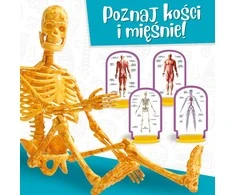 Lisciani Lavinamasis žaidimas