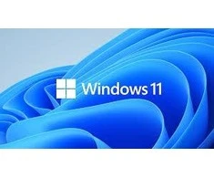 Microsoft „Oem win Pro“, skirtas wrkstns 11 pl x64 hzv-00117