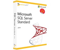 „Microsoft SQL Svr Standard 2019“ anglų kalbos 10 kalbų DVD dėžutė 228-11548