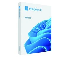 Operacinės sistemos Microsoft Windows 11 Home, 64Bit, USB atmintinė
