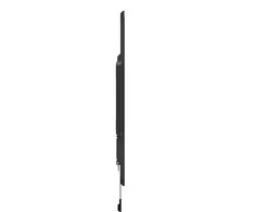 Laikiklis NEOMOUNTS BY NEWSTAR SCREEN WALL MOUNT (FIXED, ULTRA THIN, VESA 400X400)