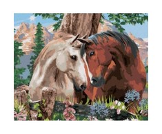 Norimpex Tapyba pagal numerius: Du arkliai 40x50 cm, rinkinys vaikams ir suaugusiems