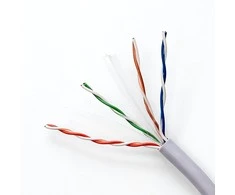 QOLTEC 50359 UTP network cable CAT6 305m PVC pilkas