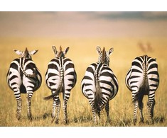 Ravensburger Dėlionė 300 vnt. - Zebrai