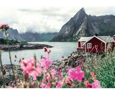 RAVENSBURGER dėlionė Reine Lofoten, Norvegija, 1000d., 16740
