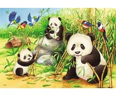 Ravensburger Dėlionė 2x24 vnt. - Mielos koalos ir pandos