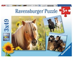 Ravensburger Dėlionė 3x49 vnt. - Mieli arkliai