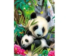 Ravensburger Dėlionė 300 vnt. - Pandos