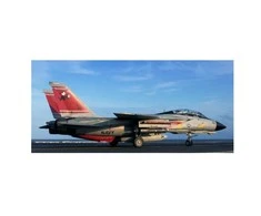 Revell Grumman F-14D Super Tomcat 1/72 plastikinis lėktuvo modelis