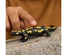 Schleich figūrėlė Ugninė salamandra