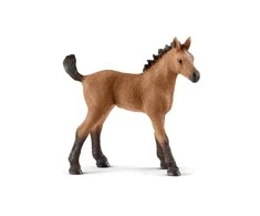 Schleich figūrėlė Kumeliukas
