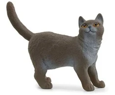 Schleich figūrėlė Britų trumpaplaukė katė