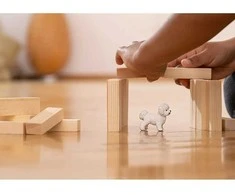 Schleich figūrėlė Garbanotasis bišonas