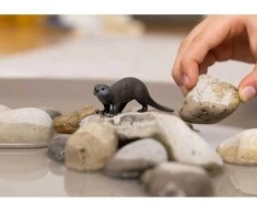 Schleich figūrėlė Ūdra