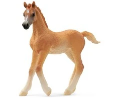 Schleich figūrėlė Arabų veislės kumeliukas