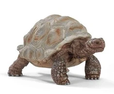 Schleich figūrėlė Vėžlys