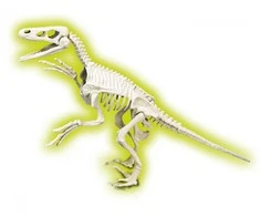 Clementoni Velociraptor fosilijos