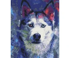 Symag Paveikslėlis Tapyba skaičių - Husky Look