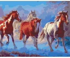 Symag Paint it! Tapyba pagal skaičius. Arkliai 40 x 50 x 1,5 cm