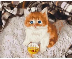 Symag Paveikslėlio tapyba pagal skaičius - Amused Kitty 40x50cm
