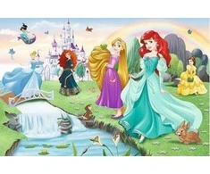 Trefl Dėlionė 60 vnt. - Princesės