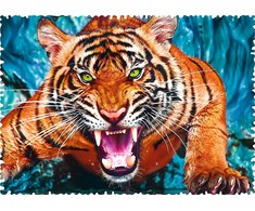 Trefl Dėlionė 600 vnt. - Tigras