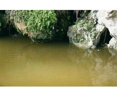 Vallejo Still Vanduo Spokojna Vanduo 200ml (26230)