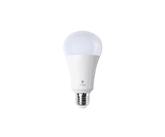Daylight Uk Atsarginė lempa Daylight 15w šviestuvui E31075