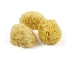 Natūralių jūros kempinėlių rinkinys 3 vnt, dydis 6-8 cm, smulkios