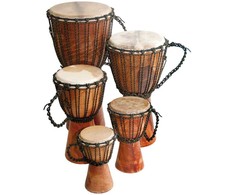 Džembė Terre Beginner 25 cm