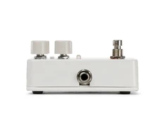 El. gitaros efektas Electro-Harmonix Canyon Delay and Looper