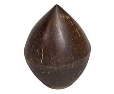 Kokoso formos šeikeris Terre 6cm