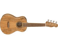Koncertinė ukulelė Fender Zuma Exotic, natūralaus klevo spalva
